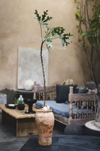 495228798_18067242893310949_7993758485483843326_n