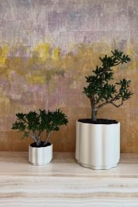 522490838_18522943102063108_747918288101294851_n