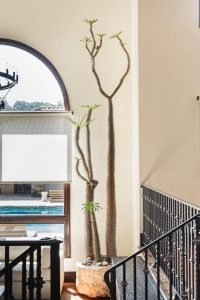 522631142_18075961070310949_7167230280709209393_n