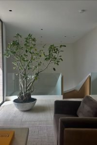 522672022_18522943111063108_4505798909164370004_n