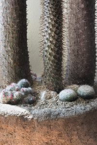 523164654_18075961088310949_905455520407604374_n