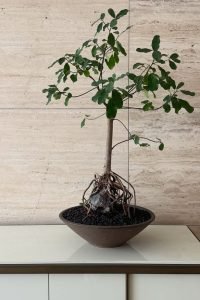 523659876_18522943120063108_3761170299301519845_n