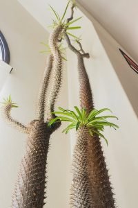 524314072_18075961079310949_7193348843573974261_n