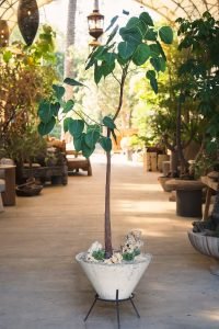 531412591_18077799050310949_5905748630986550260_n